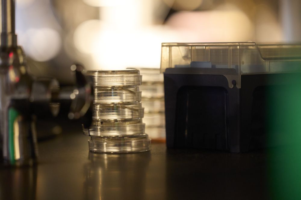 A stack of Petri dishes on a dark bench in soft light