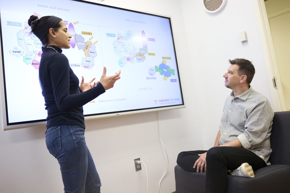 A lab member presents a signaling diagram on a screen during a one-on-one meeting
